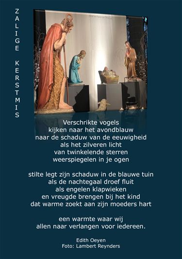 Zalig Kerstfeest - Beringen & Leopoldsburg