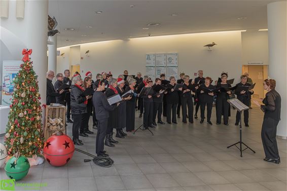 Zangmomenten van Concinite raken bezoekers - Pelt