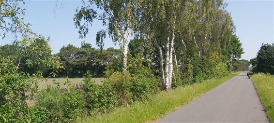 Zaterdag publiekswandeling rond Bodemgoud - Peer