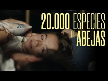 Zebra Cinema: '20.000 Species of Bees' - Pelt
