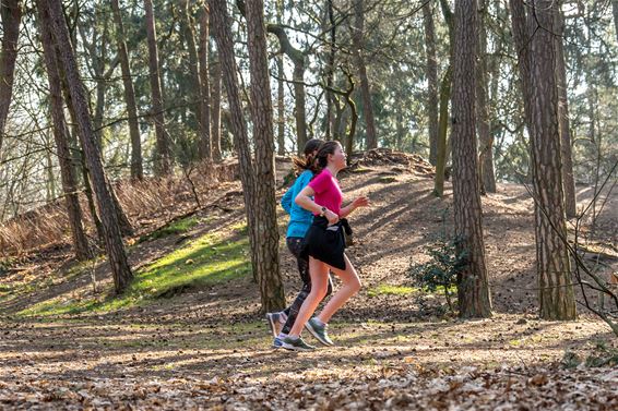 Zes keer loopplezier in het bos