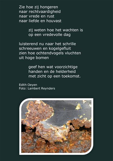 Zie hoe zij hongeren - Beringen & Leopoldsburg