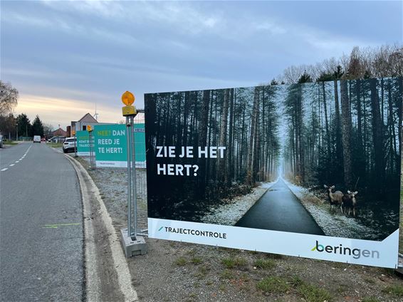 Zie je het hert? - Beringen