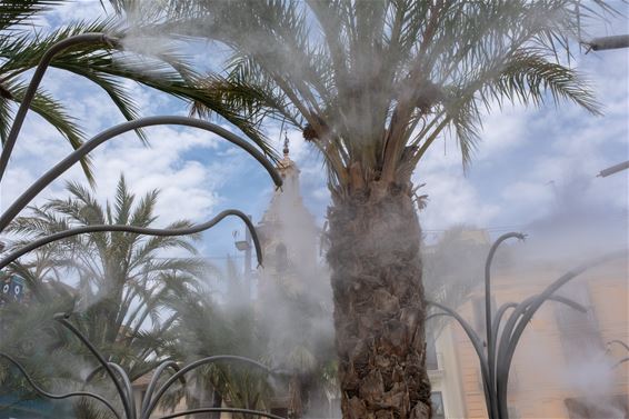 Zinderende hitte in Valencia - Hechtel-Eksel