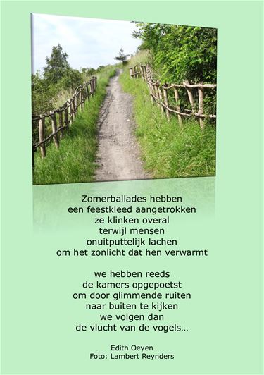 Zomerballades - Beringen & Leopoldsburg