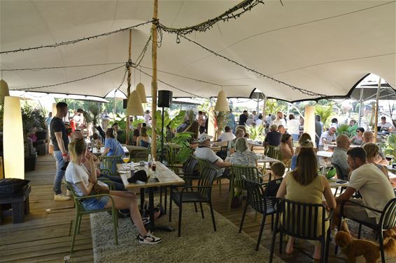 Zomerbar Xperience - Beringen