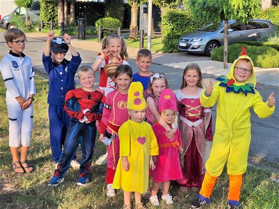 Zomercarnaval in de Ooievaarstraat - Lommel