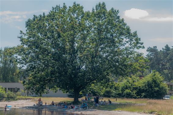 Zomers genieten - Beringen