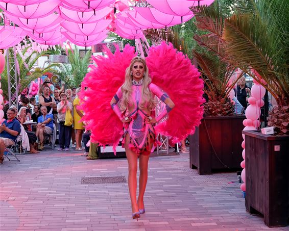 Zomers zwoele Roze Maandag - Lommel