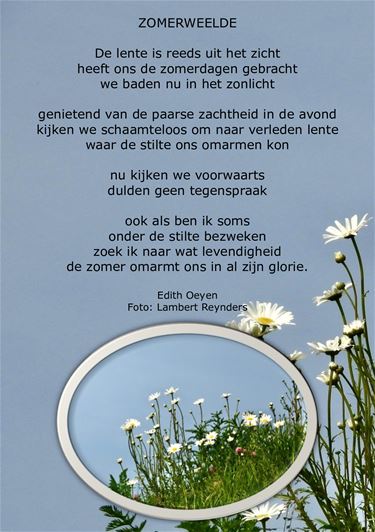 Zomerweelde