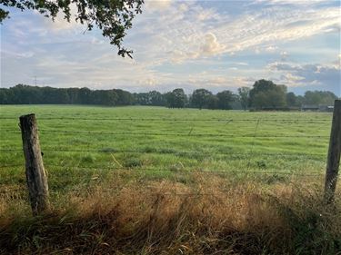 Zonnig met kans op een buitje - Beringen & Leopoldsburg