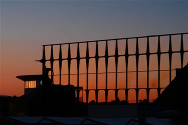 Zonnig met strakke wind - Beringen