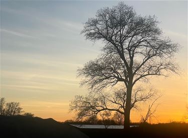 Beringen - Zonnige paasvakantie