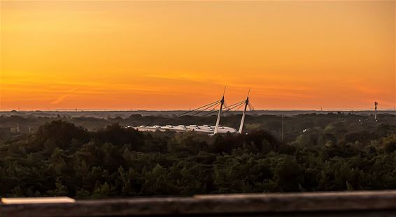 Zonsondergang in de Sahara - Lommel