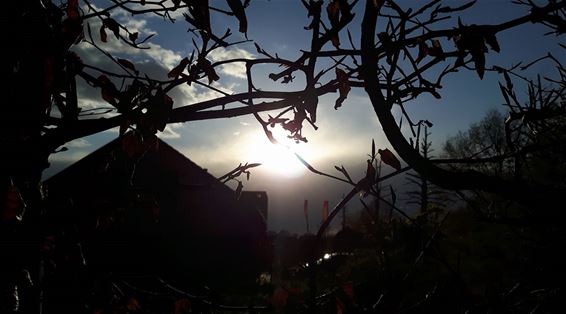 Zonsondergang tussen buien en bomen door - Lommel
