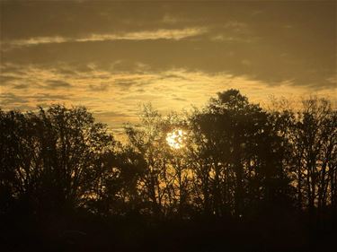 Zonsopgang - Beringen & Leopoldsburg