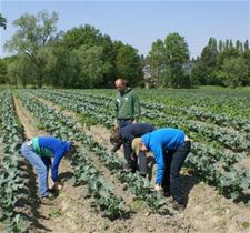 Zorgboerderijen weer in opmars