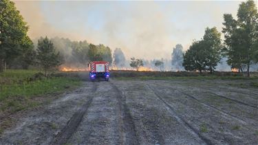 Zware natuurbrand op Mechelse Heide - Oudsbergen