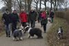 Beringen - 340 honden wandelen voor Villa Samson