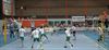 Hamont-Achel - Volleybal: AVOC klopt Lendelede