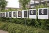 Lommel - Tentoonstelling Fotofestival verlengd