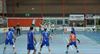 Hamont-Achel - Volleybal: AVOC klopt Wallain