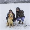 Beringen - Sneeuwpret voor honden