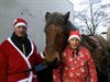 Houthalen-Helchteren - Op de kar bij de kerstman