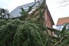 Lommel - Veel stormschade in onze stad