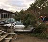 Overpelt - Auto's beschadigd door vallende bomen