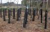 Hamont-Achel - 'Kloemptechniek' voor boomplanting