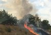 Hechtel-Eksel - Bermbrand langs Noord-Zuid