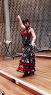 Beringen - Nieuwjaarsreceptie met Spaanse dans