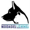 Lommel - Samenwerking met VZW Noodasiel wordt stopgezet