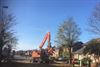 Houthalen-Helchteren - Nieuwe bomen voor Edelweisstraat
