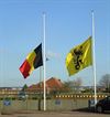 Neerpelt - Vandaag gezien...