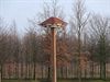 Neerpelt - Lochterdijk krijgt eerste zwaluwentil