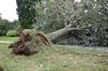 Leopoldsburg - Schade door stormweer
