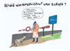 Pelt - Weer nieuwe wolven gespot in Wallonië