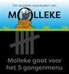 Lommel - Ons 'Molleke' (10)