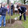 Overpelt - Een boom voor de baby's