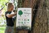 Beringen - Actie #TreeTag wijst op het belang van bomen