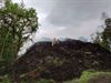 Beringen - Gigantische berg groenafval vat vuur