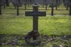 Lommel - Zomerse fotozoektocht op militaire begraafplaats