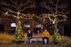 Pelt - Meer dan 40 kerstbomen op Broeseind