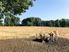 Leopoldsburg - Limburg krijgt droogtecoördinator