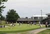 Beringen - Vlaanderen investeert in Millennium Golf