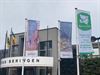 Beringen - Vlag Mayors for Peace wappert in Beringen