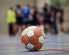 Houthalen-Helchteren - 13 handbalclubs met meer dan 200 leden