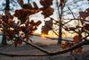 Bocholt - Een fraaie zonsopgang